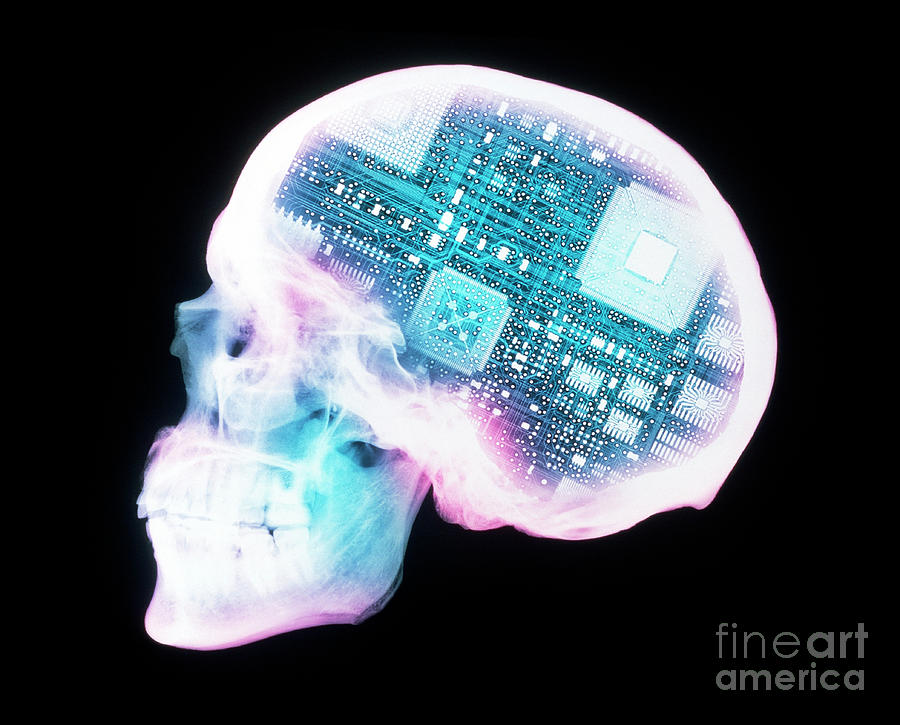 Artificial Intelligence #1 Photograph by D. Roberts/science Photo Library