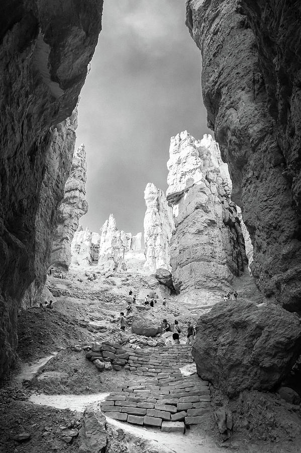Ascending From The Depths by Geoffrey C Lewis Ascending From The Depths by Geoffrey C Lewis