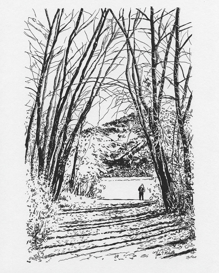 Aspen Trees and Fisherman #1 Drawing by Tommy Midyette