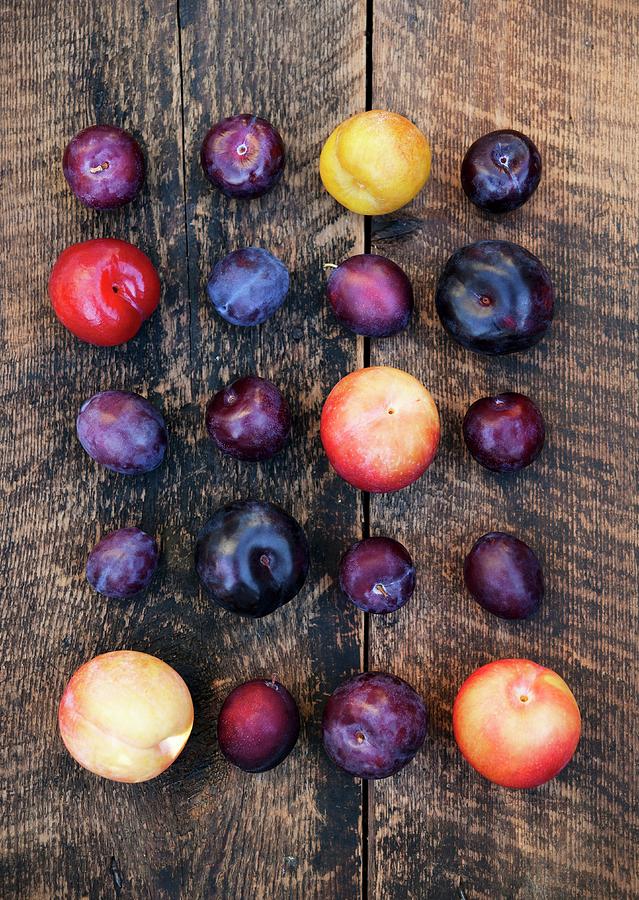Assorted Plums #1 Photograph by Victoria Firmston