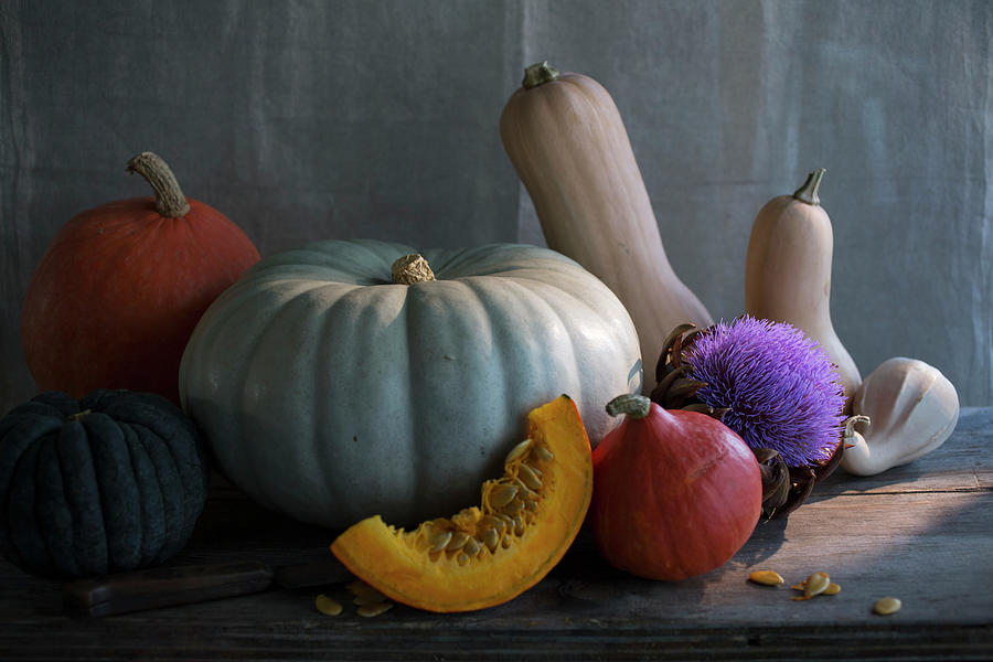Assorted Pumpkins, Squashes And Gourds #1 Photograph by Eising Studio