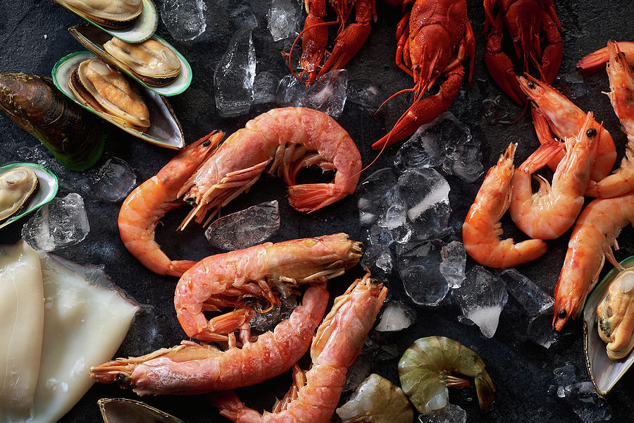 Assortment Of Various Raw Seafood - Shrimps, Kiwi Mussels, Squid And Crawfish On Ice #1 Photograph by Anastasiia Nurullina