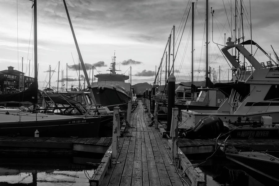 Astoria Marina black and white  #1 Photograph by Cathy Anderson