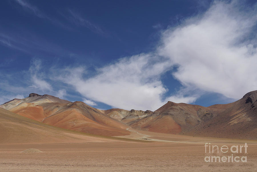 Atacama Beauty #1 Photograph by Brian Kamprath