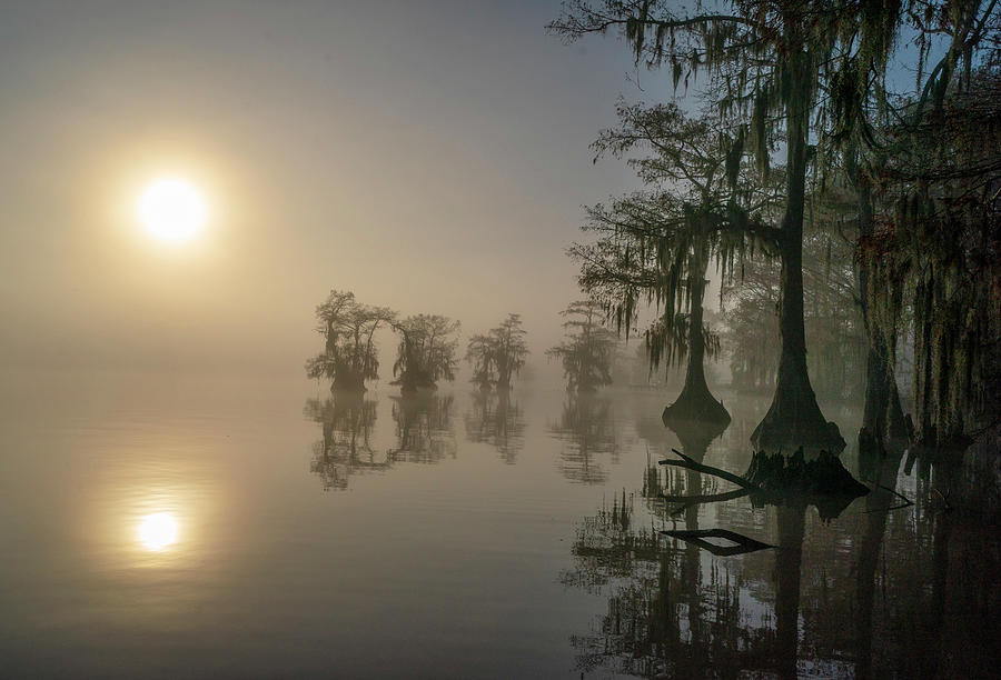 Atchafalaya Basin, Louisiana #1 Photograph by Michael Lustbader Atchafalaya Basin, Louisiana #1 Photograph by Michael Lustbader
