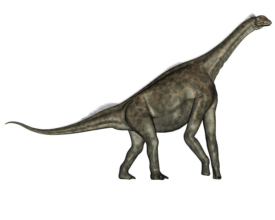 Atlasaurus Dinosaur Walking, Side View Photograph By Elena Duvernay 