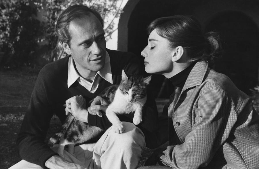 Audrey Hepburn And Mel Ferrer #1 Photograph by George Daniell
