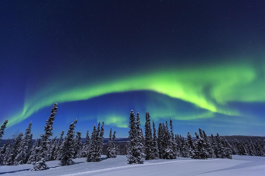 Aurora Borealis, Northern Lights Above Tent Lit Up With Lantern, Near ...