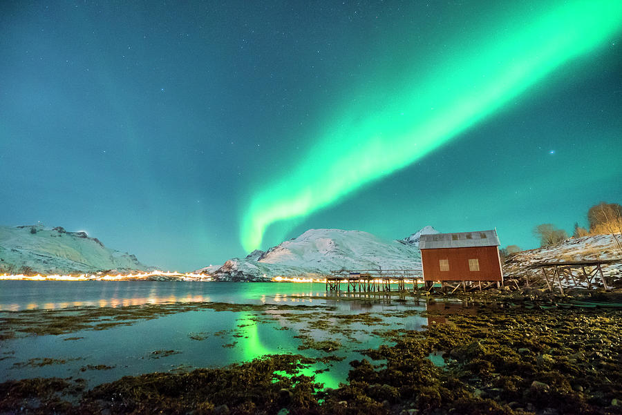 Aurora Borealis Over Kaldfjord, Norway #1 Digital Art by Manfred Bortoli