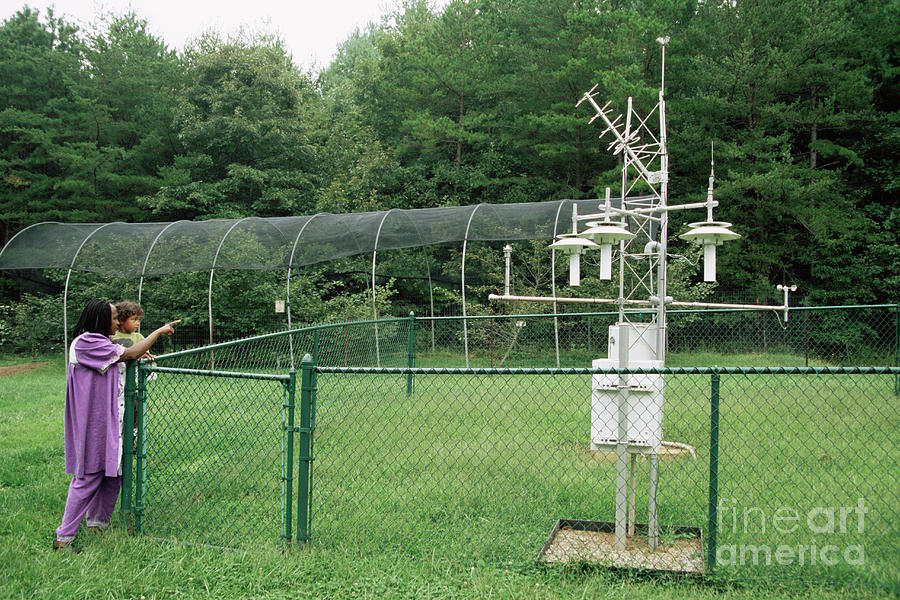 Automatic Weather Station #1 Photograph by David Hay Jones/science Photo Library