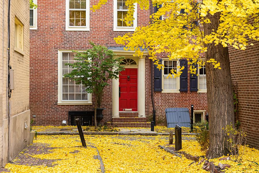 Tree Photograph - Autumn Alleyway In A Traditional #1 by Sean Pavone