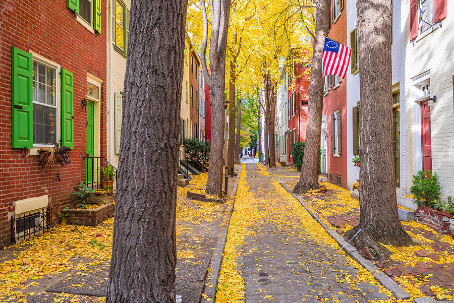 Tree Photograph - Autumn Alleyway In Philadelphia #1 by Sean Pavone