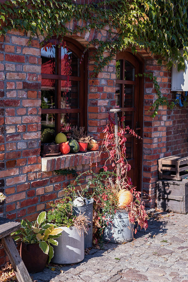 Autumn Arrangement With Big Zinc Buckets, Wild Wine And Pumpkin At The House Entrance #1 Photograph by Joanna Stolowicz