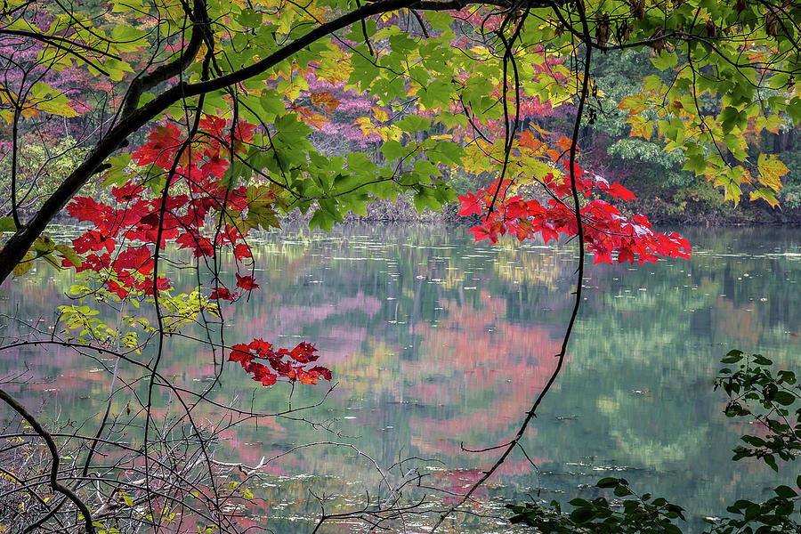Autumn at Spirit Springs Photograph by William Christiansen