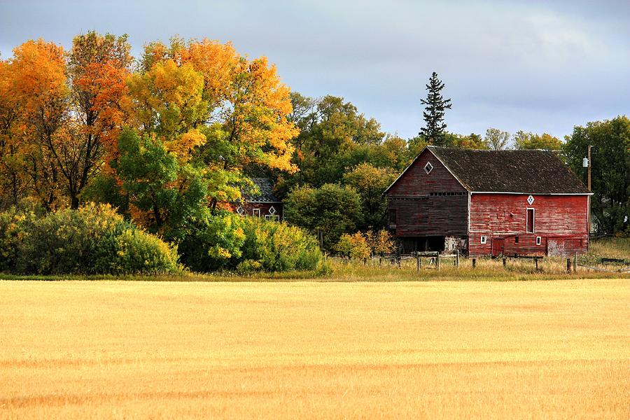 Autumn Barn #1 Photograph by David Matthews