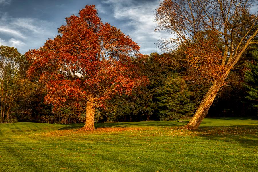 Autumn Beauty In New England Photograph by Mountain Dreams - Fine Art ...