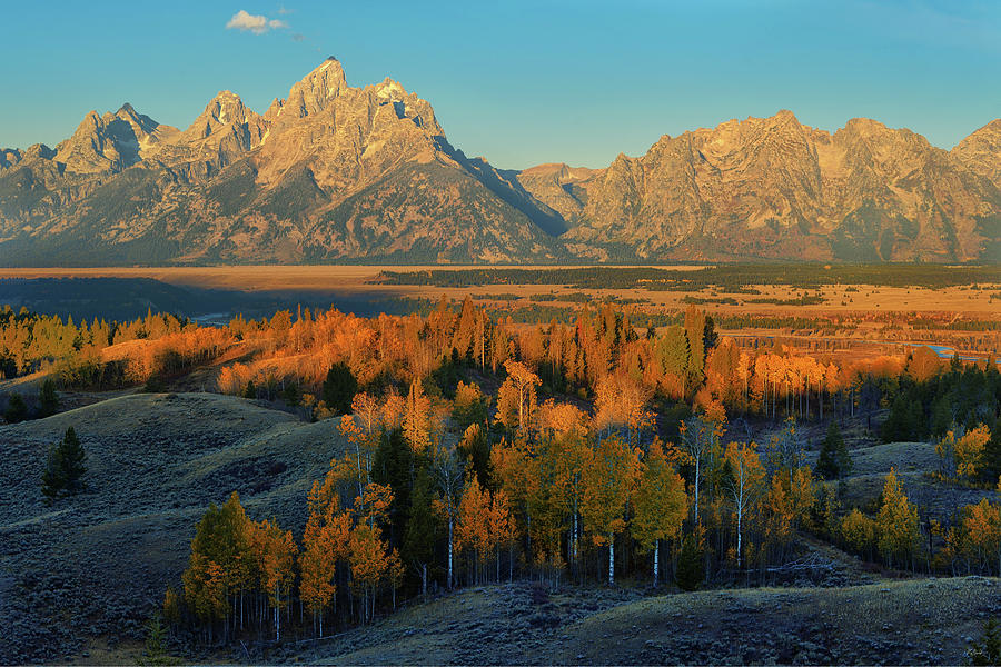 Autumn Beneath the Tetons #1 Photograph by Greg Norrell