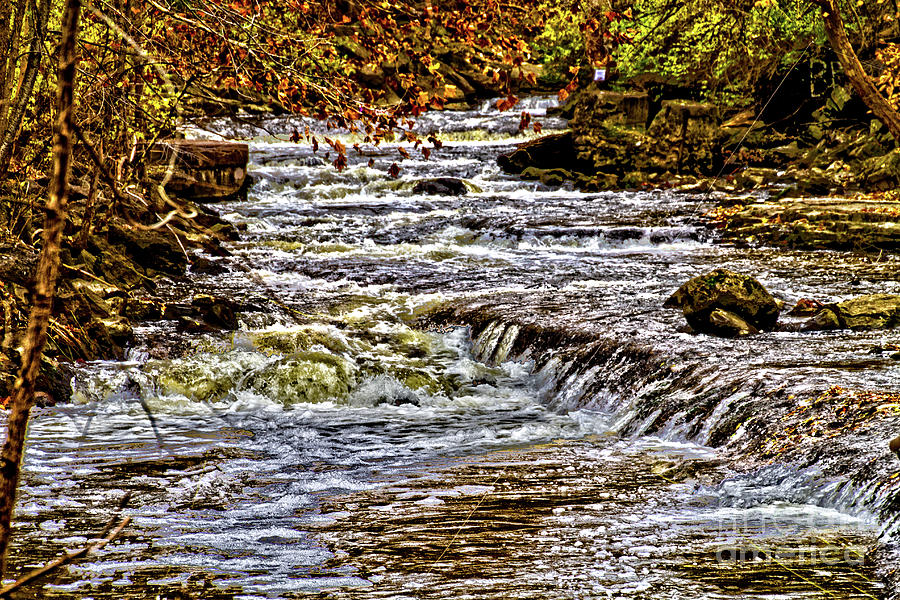 Autumn by the Creek #1 Photograph by William Norton