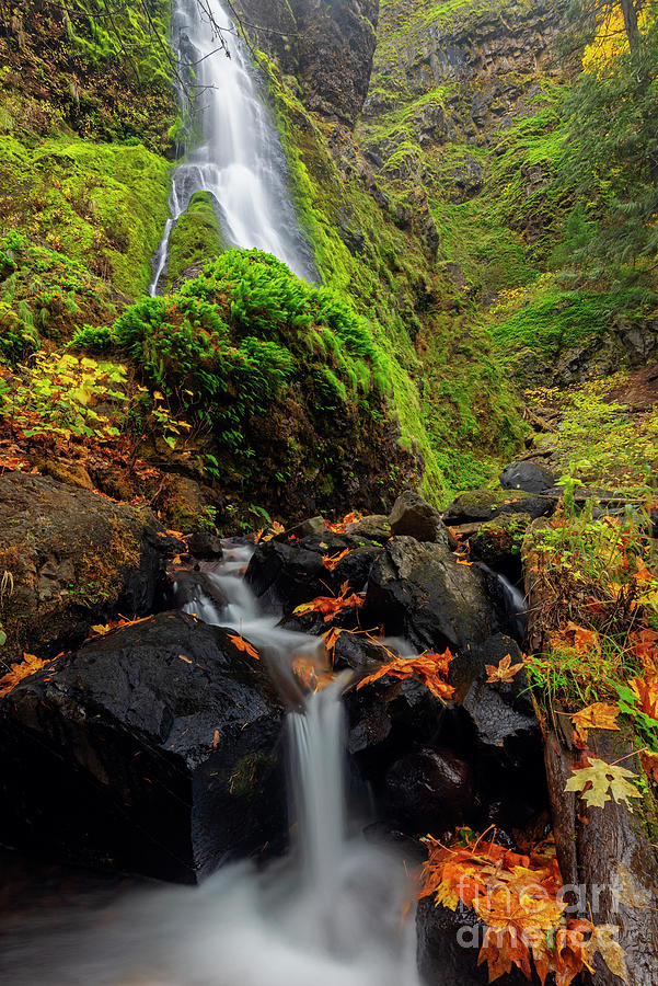 Autumn Cascades Photograph by Michael Dawson - Fine Art America