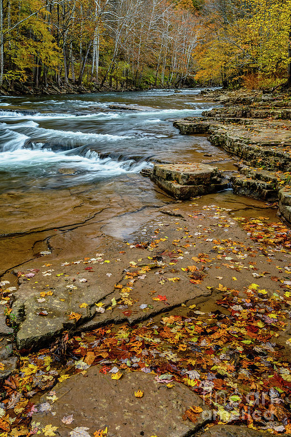 Autumn Cherry Falls Elk River #1 Photograph by Thomas R Fletcher