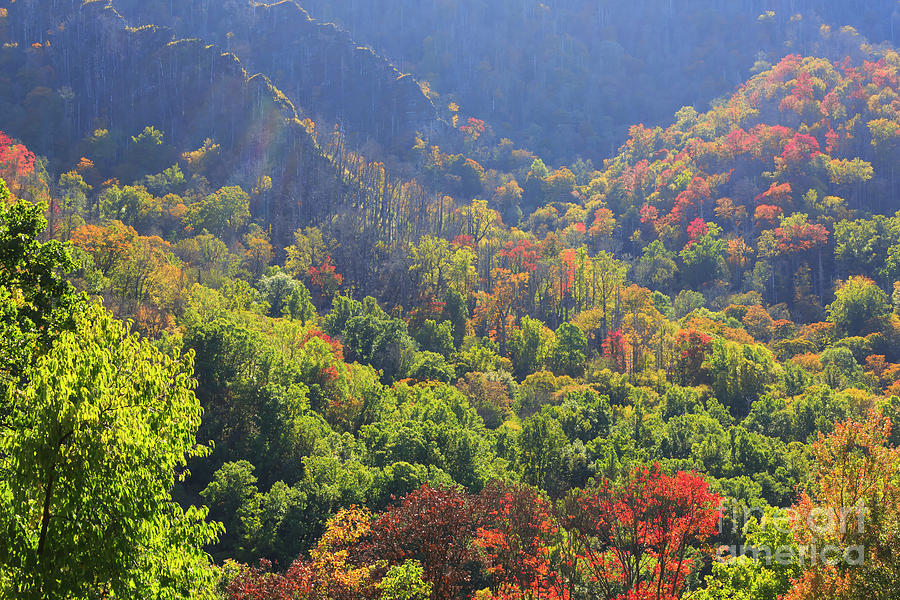 Autumn color on Newfound Gap Road in Smoky Mountains National Park #1 Photograph by Louise Heusinkveld