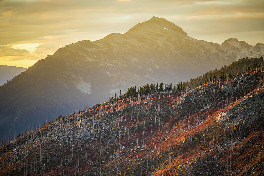 Fall Photograph - Autumn Colors Illuminated By Alpenglow On Previously Burnt Mountain. #1 by Cavan Images