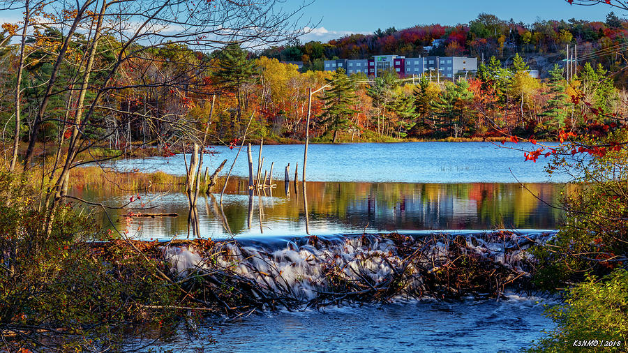 Autumn Colors in Kearney Lake #1 Digital Art by Ken Morris