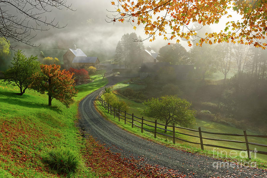 Foggy Autumn Morning at Vermonts Sleepy Hollow Farm Photograph by Tom Schwabel