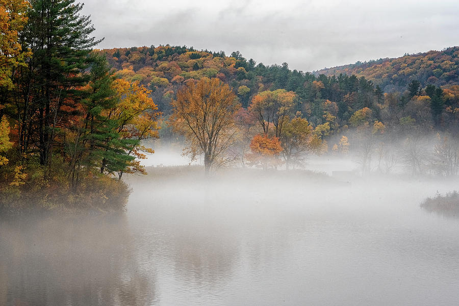 Autumn Fog #1 Photograph by Tom Singleton