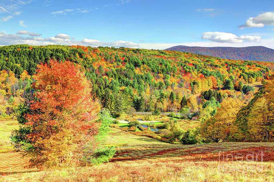 Autumn foliage in the Berkshires region of Massachusetts Photograph by