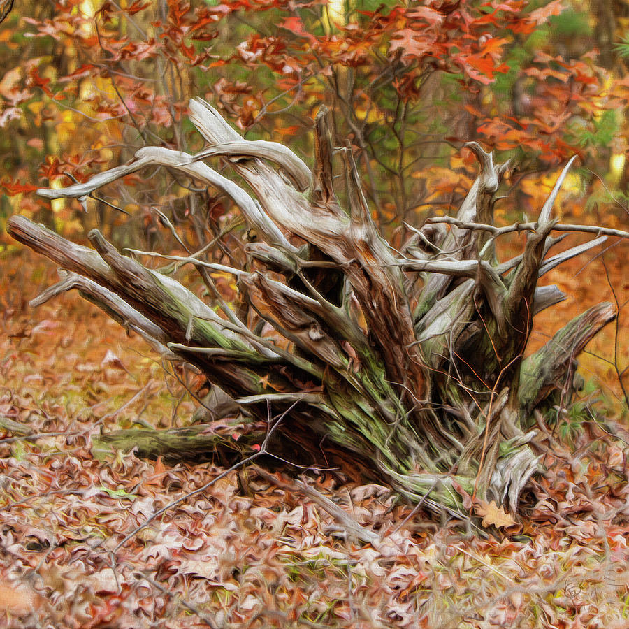 Autumn by George Pennington Autumn by George Pennington