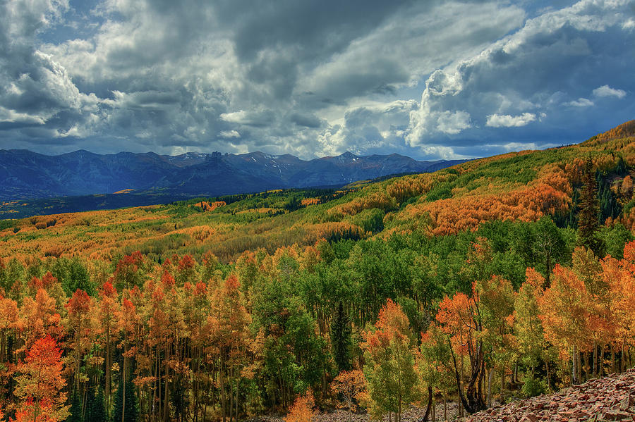 Autumn Illumination Photograph by Bill Sherrell - Fine Art America