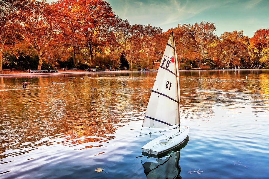 Autumn In Central Park, Boat Pond, Nyc. #1 Digital Art by Claudia Uripos