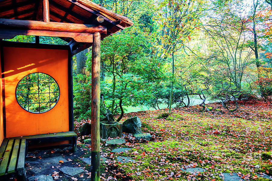 autumn in Japanese park, the Hague #1 Photograph by Ariadna De Raadt