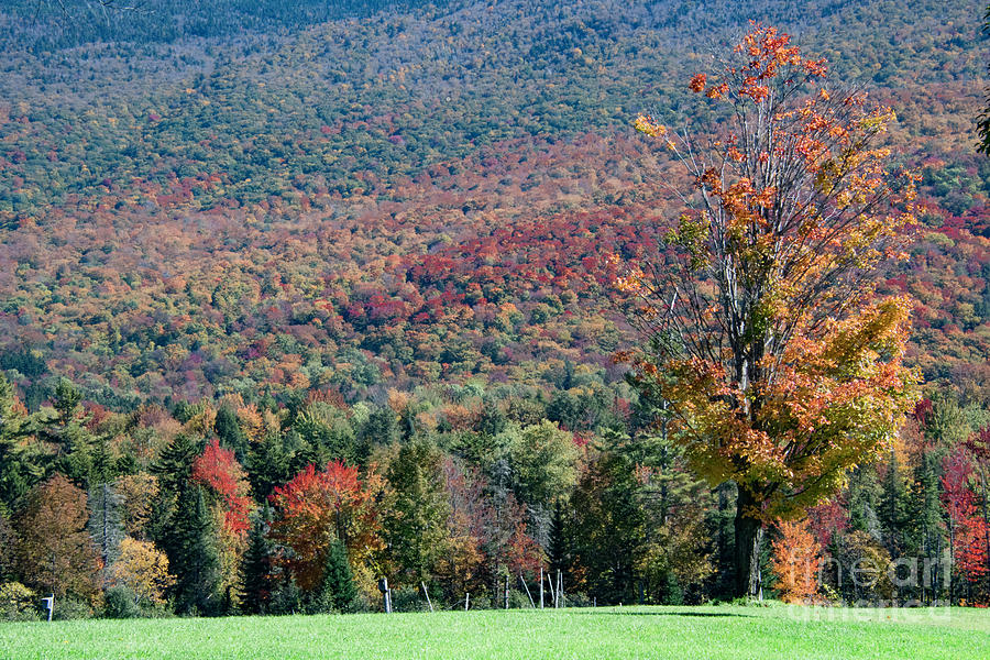 Autumn in Vermont No.2 Photograph by John Greco
