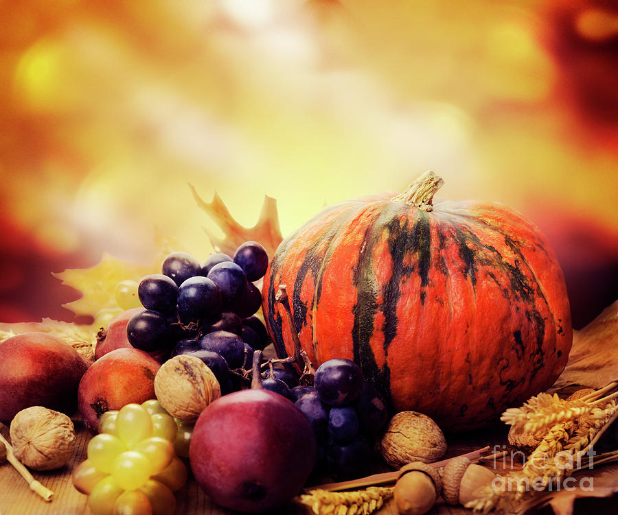 Autumn #1 Photograph by Jelena Jovanovic