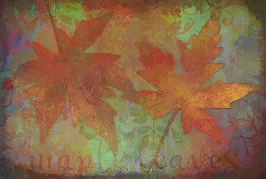 Fall Photograph - Autumn Maple Leaves #1 by Cora Niele