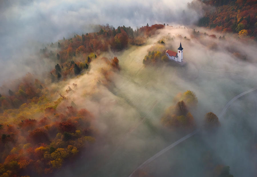 Autumn Morning #1 Photograph by Ales Komovec