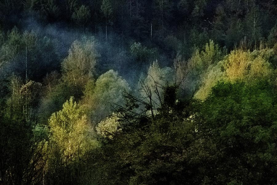 Autumn morning in Slovenia #1 Photograph by Robert Grac