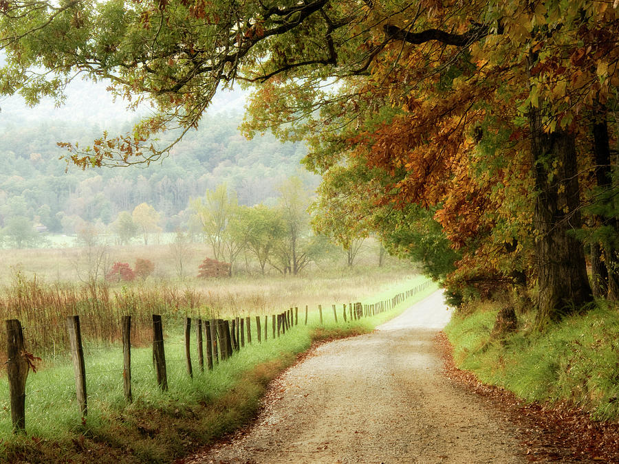 Autumn On A Country Road Photograph by Danny Head - Fine Art America