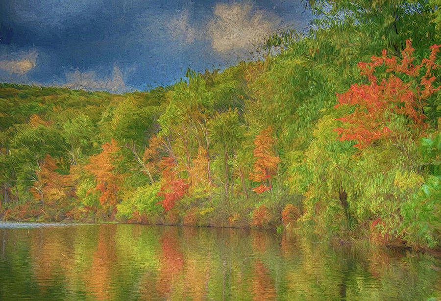 Autumn on the Pine Swamp Loop #1 Photograph by Alan Goldberg