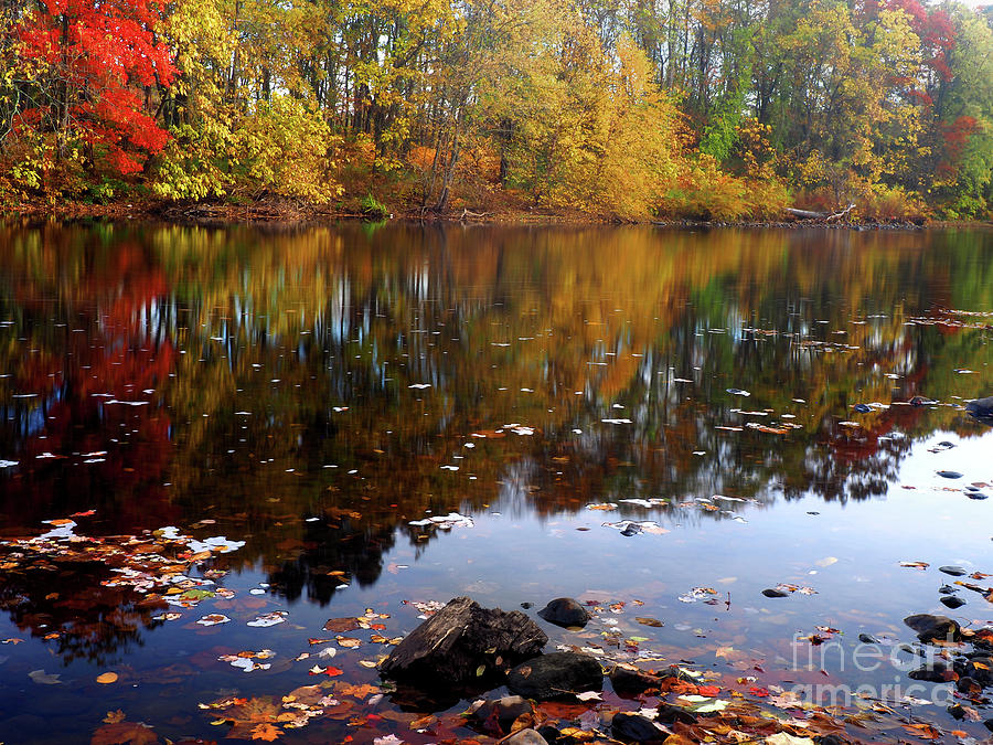 Autumn Pond reflections  #1 Photograph by Raymond Earley