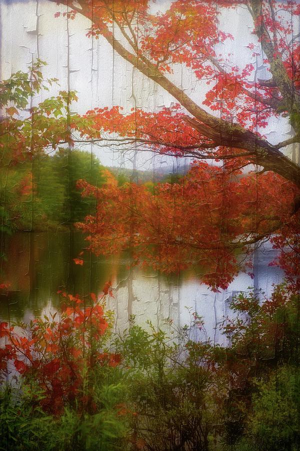 Autumn Pond Photograph