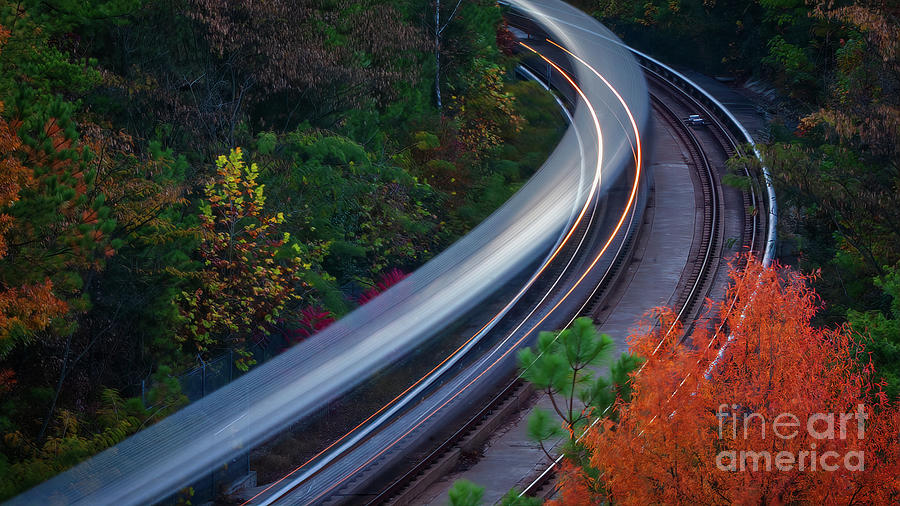 Fall Photograph - Autumn Rails #2 by Doug Sturgess