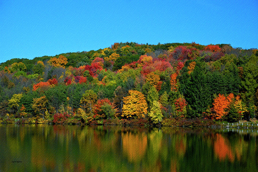 Autumn Reflection Photograph