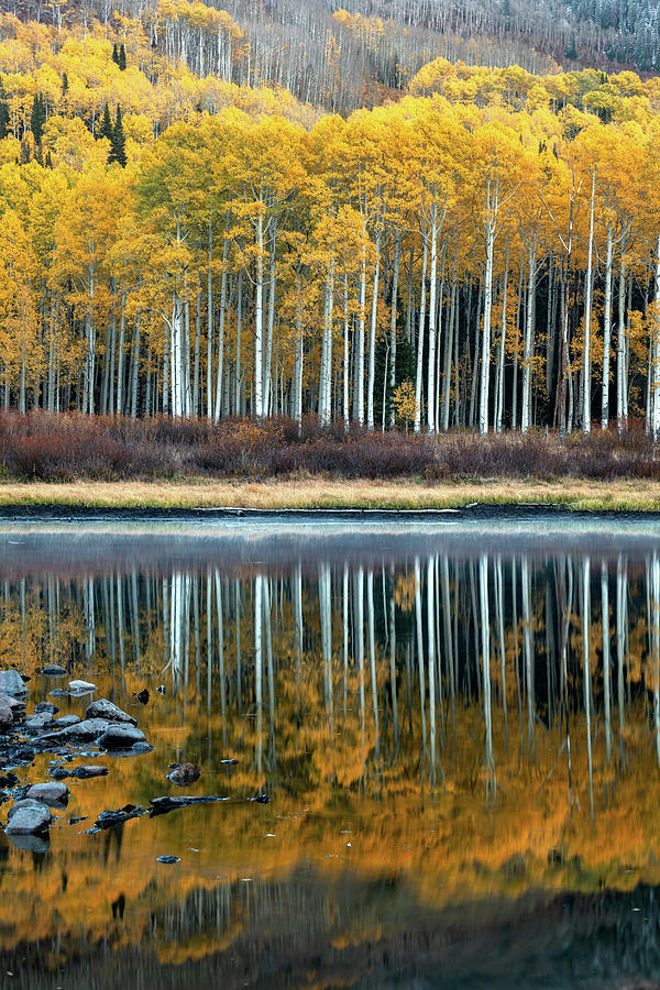 Autumn Reflection #1 Photograph by Dustin LeFevre