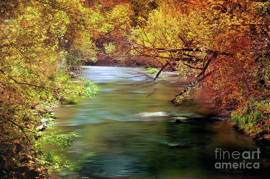 Autumn River #1 Photograph by Elaine Manley