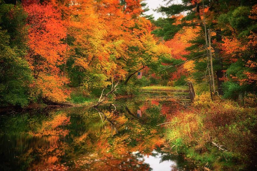 Autumn River #2 Photograph by Joann Vitali