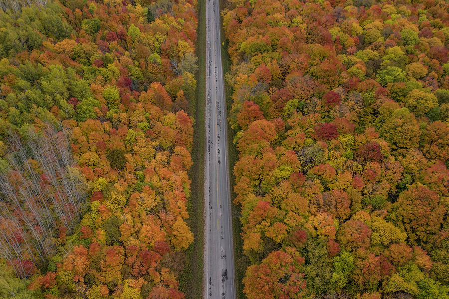 Autumn Road in Michigan  #1 Photograph by John McGraw