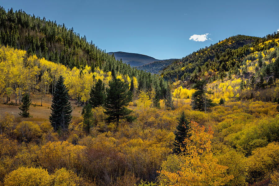 Autumn Splendor #2 Photograph by Lorraine Baum